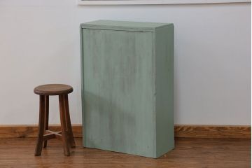 アンティーク家具　アンティークペイント 小振りなブックケース(本箱、収納棚)