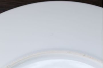 アンティーク雑貨　ノリタケ・大皿、カップ&ソーサー(ノリタケ(Noritake)2客、ホヤ(HOYA)2客)計5点セット