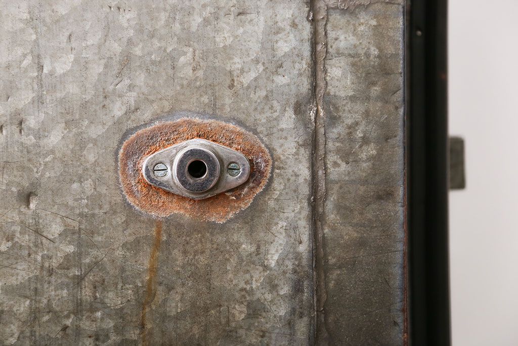 アンティーク 珍品!古い氷屋のシャビーな冷蔵室ドア(1)(扉、冷蔵庫)