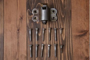 アンティーク 珍品 古い氷屋の冷蔵室のドア(2)(扉、冷蔵庫)