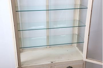 アンティーク家具　アンティーク オリジナルペイントのケビントガラスケース(収納棚、キャビネット)