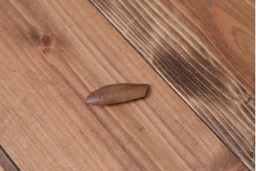 アンティーク雑貨　アンティーク　ジャンク品　アンソニーカメラ