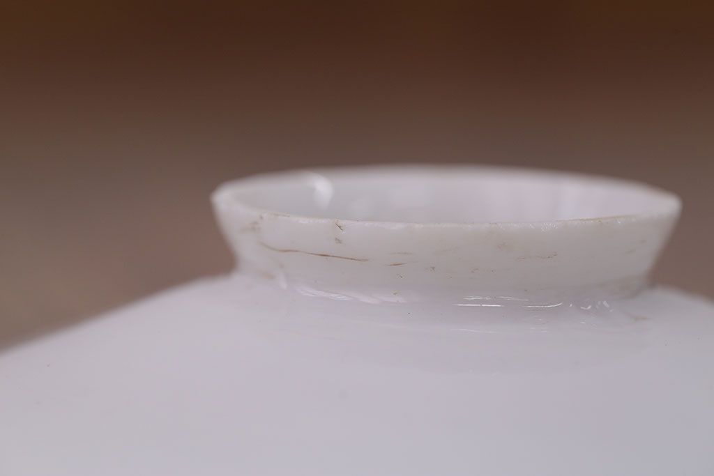 昭和レトロ　平笠照明2個セット(2)