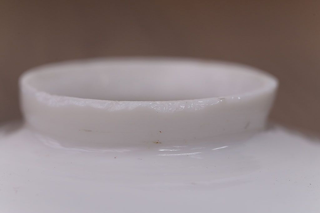 昭和レトロ　平笠照明2個セット(3)