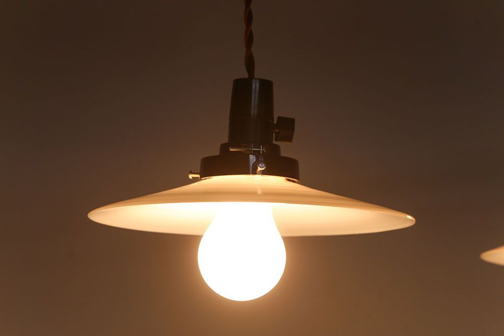 昭和レトロ　平笠照明2個セット(4)