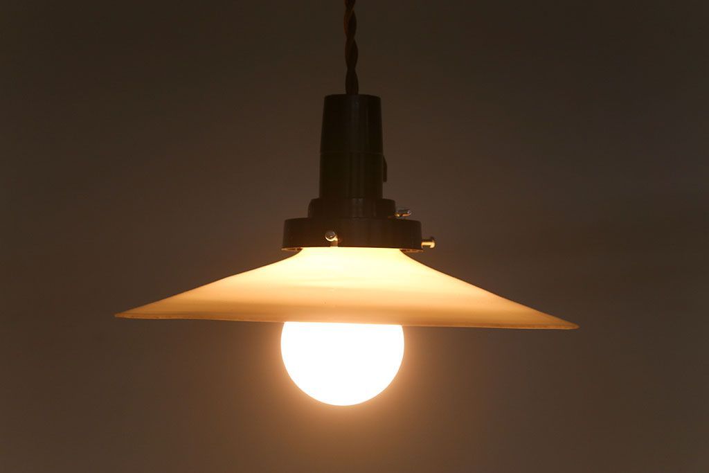 昭和レトロ　平笠照明2個セット(5)