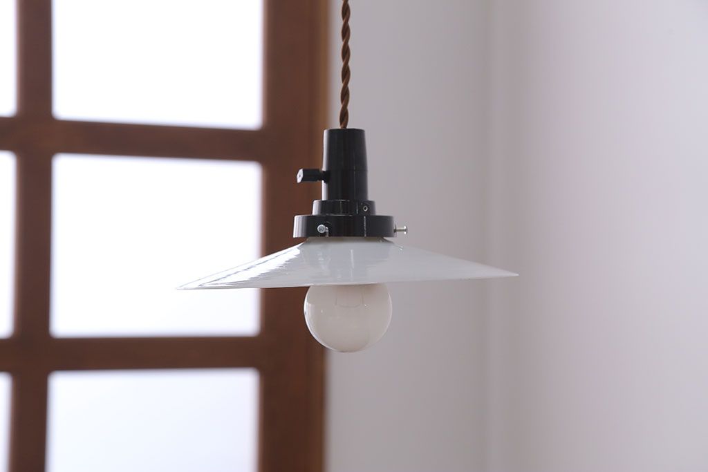 昭和レトロ　平笠照明2個セット(5)
