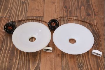 昭和レトロ　平笠照明2個セット(5)