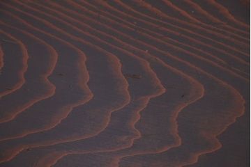 アンティーク家具　古民具・骨董 杉材一枚板　座卓