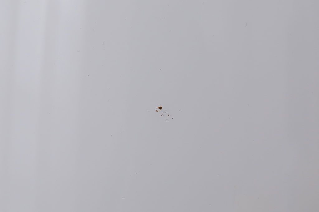 昭和レトロ　かわいい和製アンティーク電笠(1)