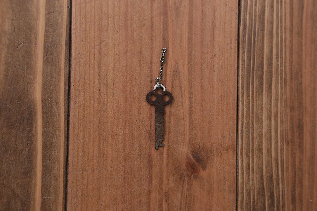 アンティーク家具　前面ナラ材　大きな本箱