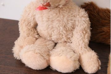アンティーク雑貨　イギリスアンティーク staiff ぬいぐるみ5点セット(カタログ付き)