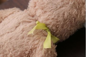 アンティーク雑貨　イギリスアンティーク staiff ぬいぐるみ5点セット(カタログ付き)