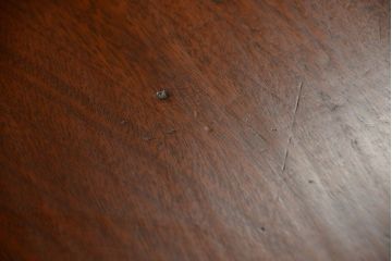 アンティーク家具　イギリスアンティーク　彫刻が美しいウォールナット材のサイドテーブル