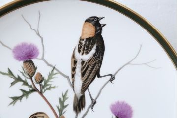 アンティーク雑貨　Franklin Pocelain(フランクリン・ポーセリン)世界の鳴き鳥シリーズ　飾皿12枚セット(1枚あたり定価17500円)