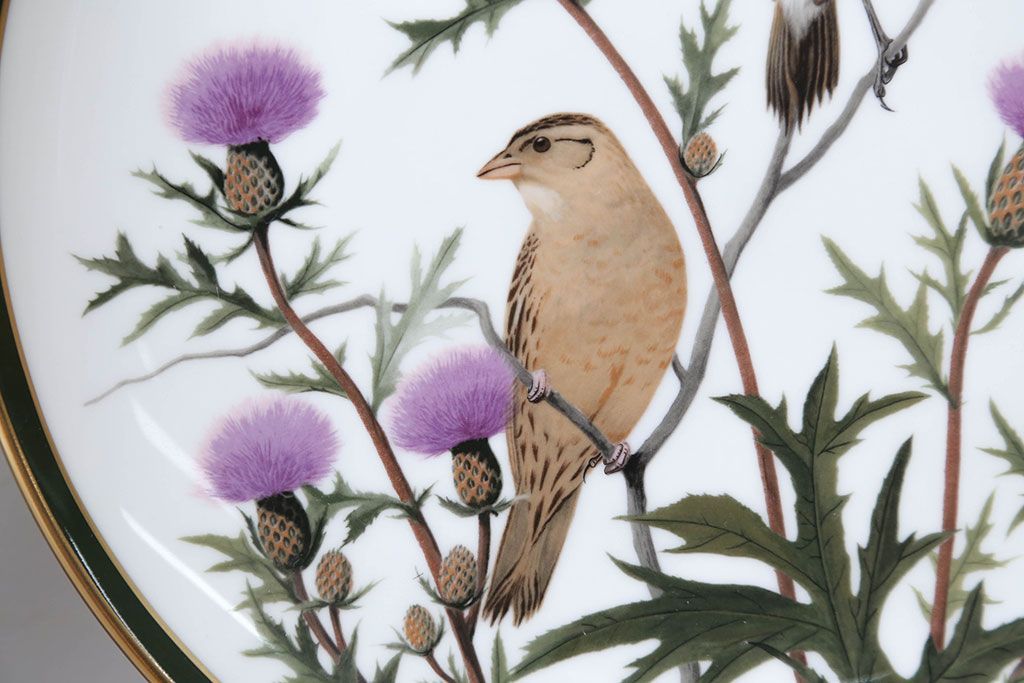 アンティーク雑貨　Franklin Pocelain(フランクリン・ポーセリン)世界の鳴き鳥シリーズ　飾皿12枚セット(1枚あたり定価17500円)