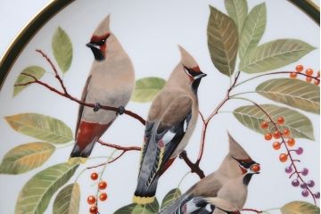 アンティーク雑貨　Franklin Pocelain(フランクリン・ポーセリン)世界の鳴き鳥シリーズ　飾皿12枚セット(1枚あたり定価17500円)