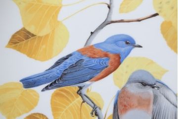 アンティーク雑貨　Franklin Pocelain(フランクリン・ポーセリン)世界の鳴き鳥シリーズ　飾皿12枚セット(1枚あたり定価17500円)