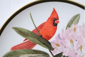 アンティーク雑貨　Franklin Pocelain(フランクリン・ポーセリン)世界の鳴き鳥シリーズ　飾皿12枚セット(1枚あたり定価17500円)