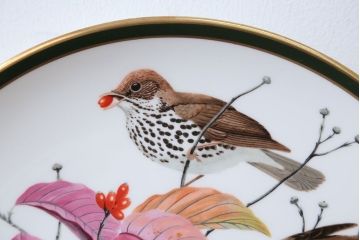 アンティーク雑貨　Franklin Pocelain(フランクリン・ポーセリン)世界の鳴き鳥シリーズ　飾皿12枚セット(1枚あたり定価17500円)