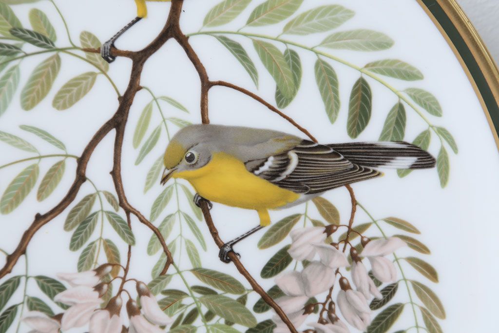 アンティーク雑貨　Franklin Pocelain(フランクリン・ポーセリン)世界の鳴き鳥シリーズ　飾皿12枚セット(1枚あたり定価17500円)