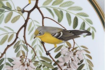 アンティーク雑貨　Franklin Pocelain(フランクリン・ポーセリン)世界の鳴き鳥シリーズ　飾皿12枚セット(1枚あたり定価17500円)