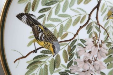 アンティーク雑貨　Franklin Pocelain(フランクリン・ポーセリン)世界の鳴き鳥シリーズ　飾皿12枚セット(1枚あたり定価17500円)