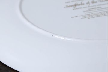 アンティーク雑貨　Franklin Pocelain(フランクリン・ポーセリン)世界の鳴き鳥シリーズ　飾皿12枚セット(1枚あたり定価17500円)