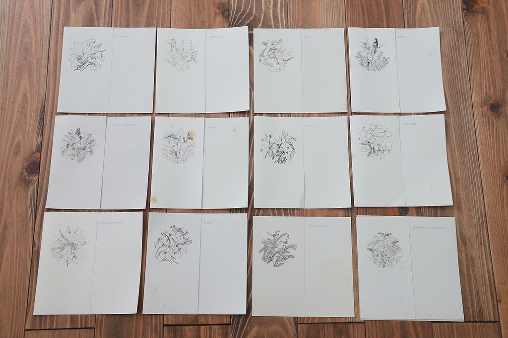 アンティーク雑貨　Franklin Pocelain(フランクリン・ポーセリン)世界の鳴き鳥シリーズ　飾皿12枚セット(1枚あたり定価17500円)