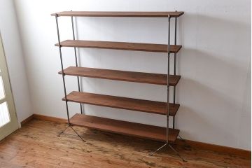 ラフジュオリジナル アイアンの薄型飾り棚【中】(陳列棚、アイアンラック)