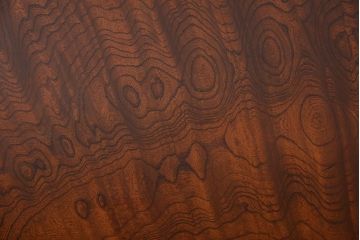 アンティーク家具　古民具・骨董　欅材の玉杢が美しい高級座卓