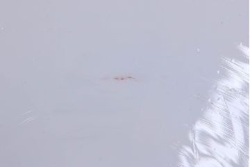 和製アンティーク　昭和レトロな白いガラス平笠照明2個セット(1)