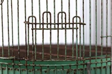 アンティーク雑貨　アンティーク　古いアイアンのシャビーなバードゲージ(鳥かご)