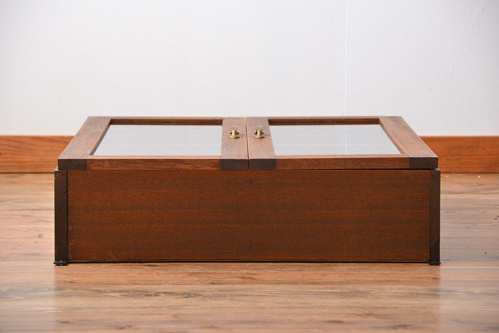 アンティーク家具　アンティーク　シンプルでナチュラルな縦型の壁掛け戸棚(1)