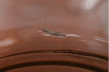 アンティーク雑貨　昭和レトロ　古いアンティークガラス瓶(ビン)2個セット