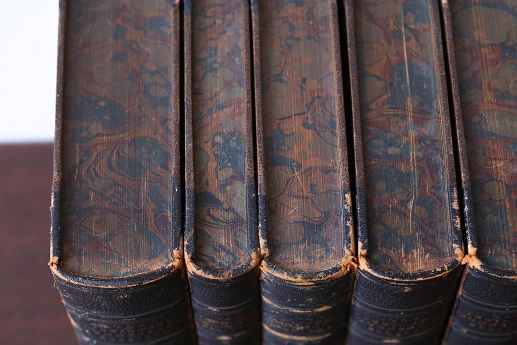 アンティーク雑貨　アンティーク　1899年古い洋書8冊セット(古書・アトリエ)