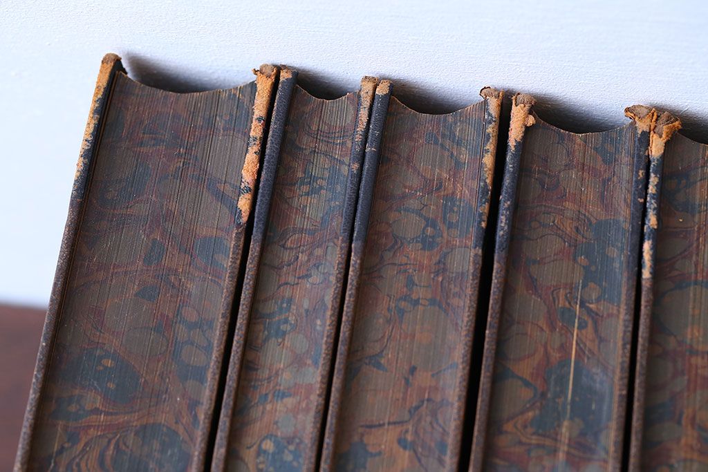 アンティーク雑貨　アンティーク　1899年古い洋書8冊セット(古書・アトリエ)