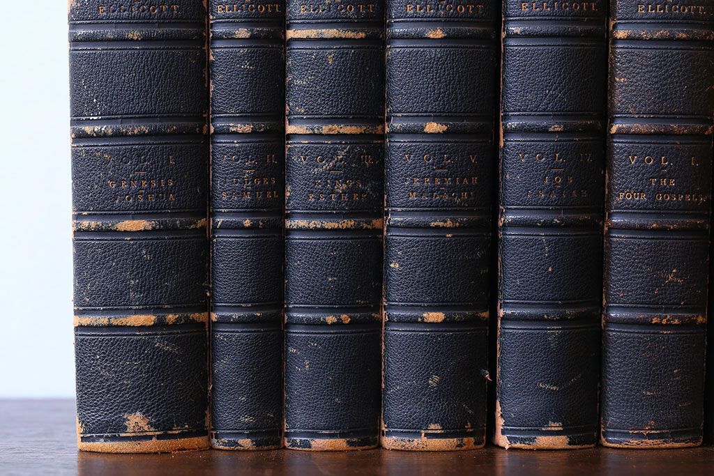 アンティーク雑貨　アンティーク　1899年古い洋書8冊セット(古書・アトリエ)