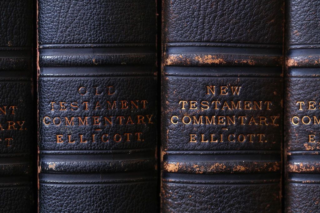 アンティーク雑貨　アンティーク　1899年古い洋書8冊セット(古書・アトリエ)