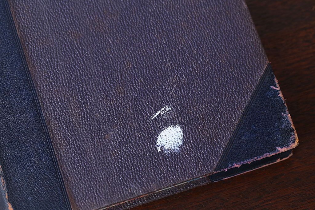 アンティーク雑貨　アンティーク　1899年古い洋書8冊セット(古書・アトリエ)