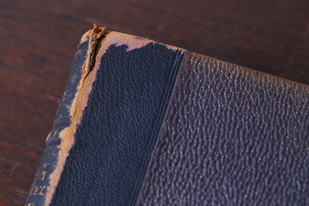 アンティーク雑貨　アンティーク　1899年古い洋書8冊セット(古書・アトリエ)