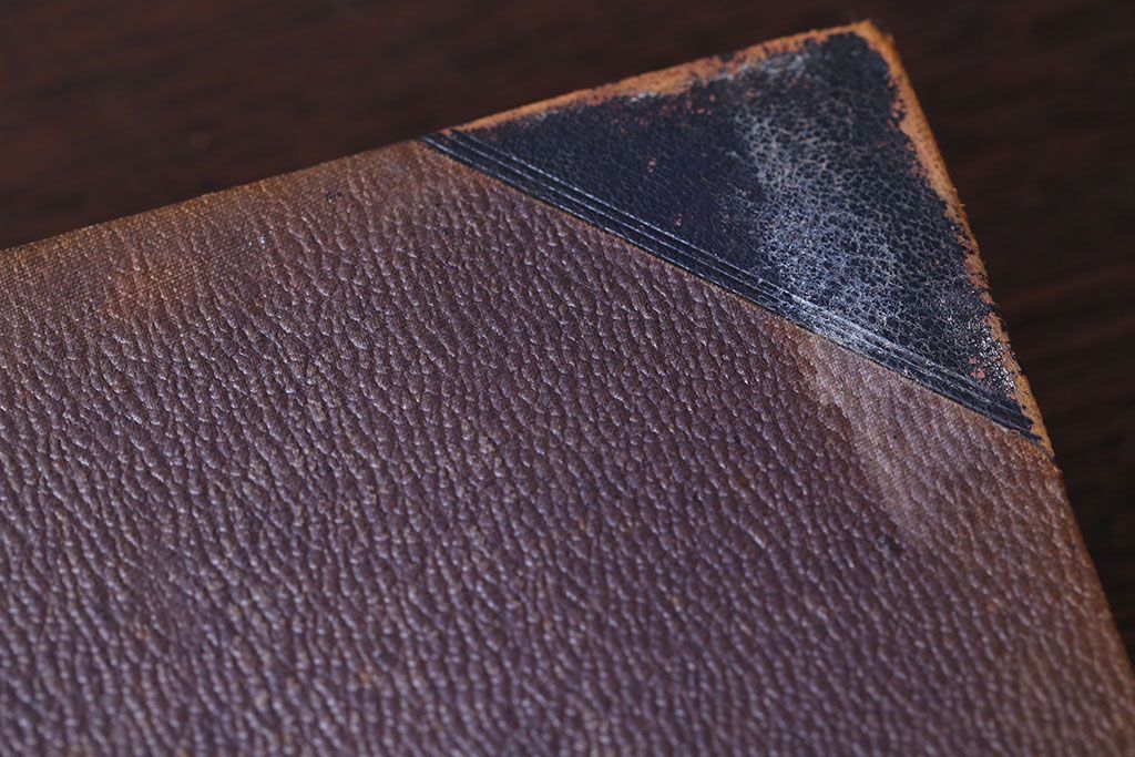 アンティーク雑貨　アンティーク　1899年古い洋書8冊セット(古書・アトリエ)