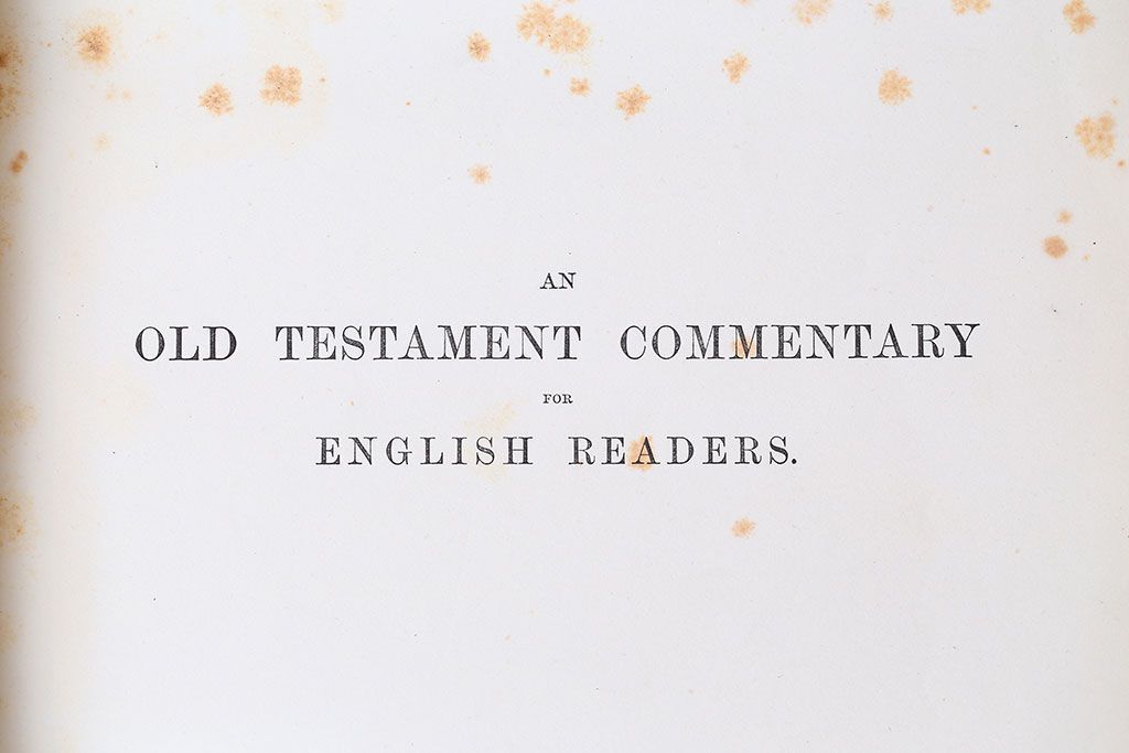 アンティーク雑貨　アンティーク　1899年古い洋書8冊セット(古書・アトリエ)