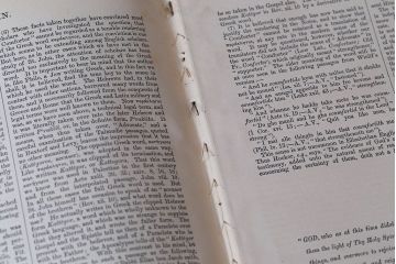 アンティーク雑貨　アンティーク　1899年古い洋書8冊セット(古書・アトリエ)