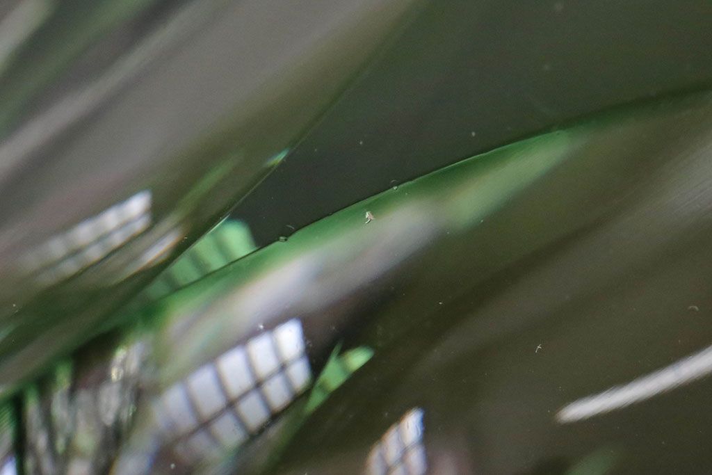 アンティーク雑貨　大正〜昭和初期・緑切子グラス6個(カットガラス)