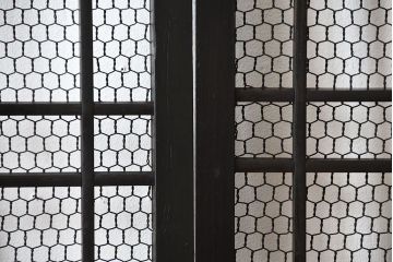 古民具・骨董　亀甲金網付き格子戸2枚セット