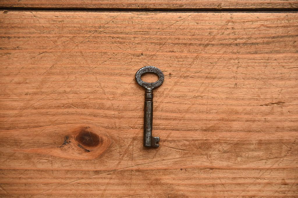 アンティーク家具　和製アンティーク　面取りが上品な前面欅材の高級衣装箪笥(2)