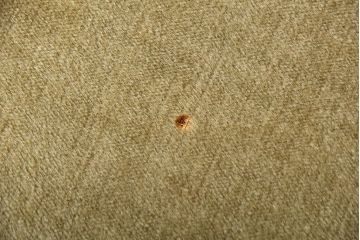 アンティーク家具　アンティーク　ドイツ製　シャビーシックなリクライニングソファ