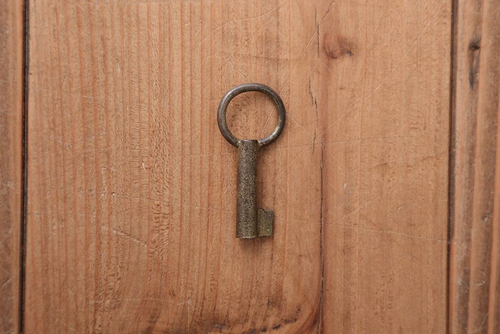 アンティーク家具　古民具・骨董　前面欅材!モダンな時代箪笥(衣装箪笥)(2)