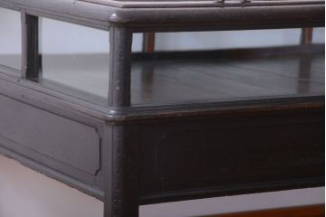 アンティーク家具　和製アンティーク　極めて珍しい!引き出し付きガラス蓋の外れる高級ガラスケース